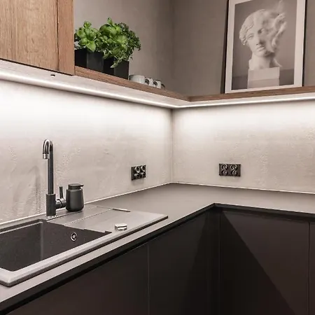Stylowy W Centrum Poznania Appartement *