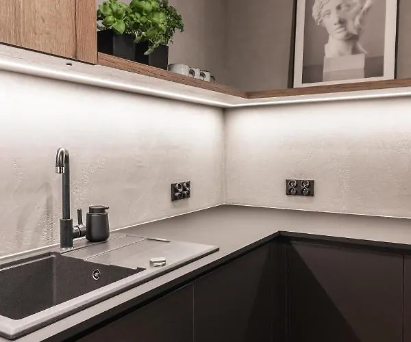 Stylowy W Centrum Poznania Apartamento *