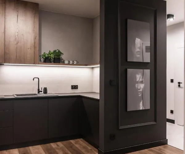 Apartamento Stylowy W Centrum Poznania