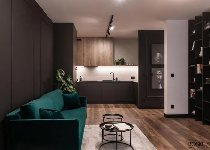 Apartamento Stylowy W Centrum Poznania Poznań