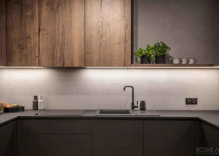 Apartamento Stylowy W Centrum Poznania *