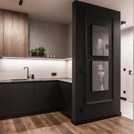 Apartment Stylowy W Centrum Poznania