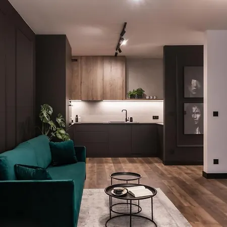 Apartment Stylowy W Centrum Poznania Poznan
